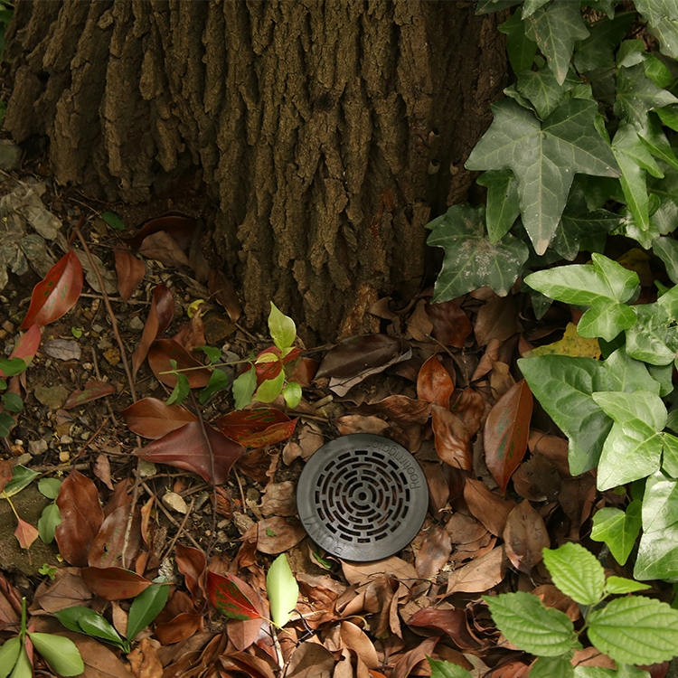 Tree Root Irrigator Details 